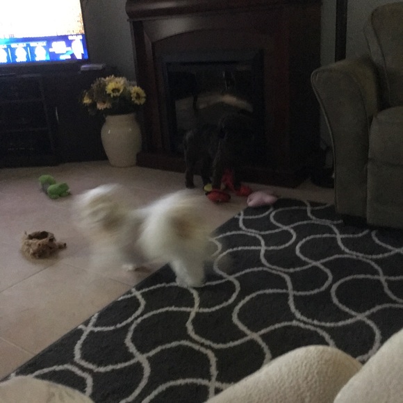 Meet your Posher, Liz - Picture 1 of 1